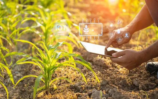 Agriculture